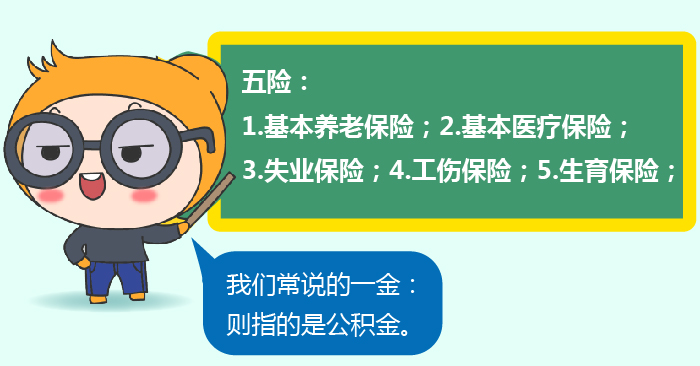 初級會(huì)計(jì)五險一(yī)金(jīn)